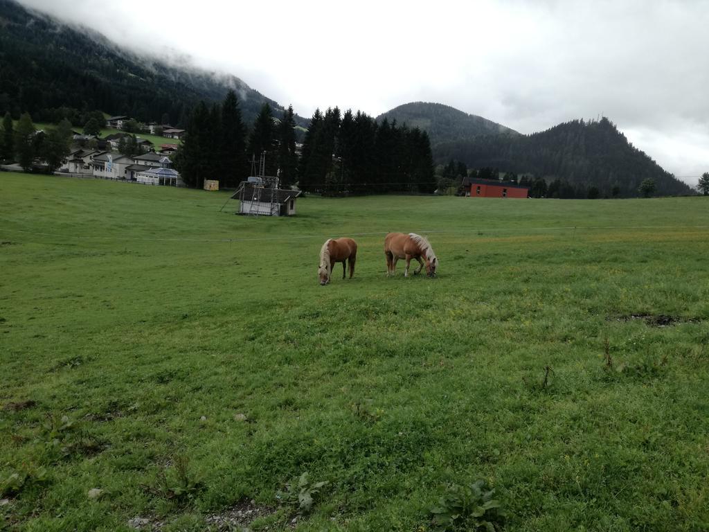 Apartment Knablhof Sankt Martin am Tennengebirge Esterno foto